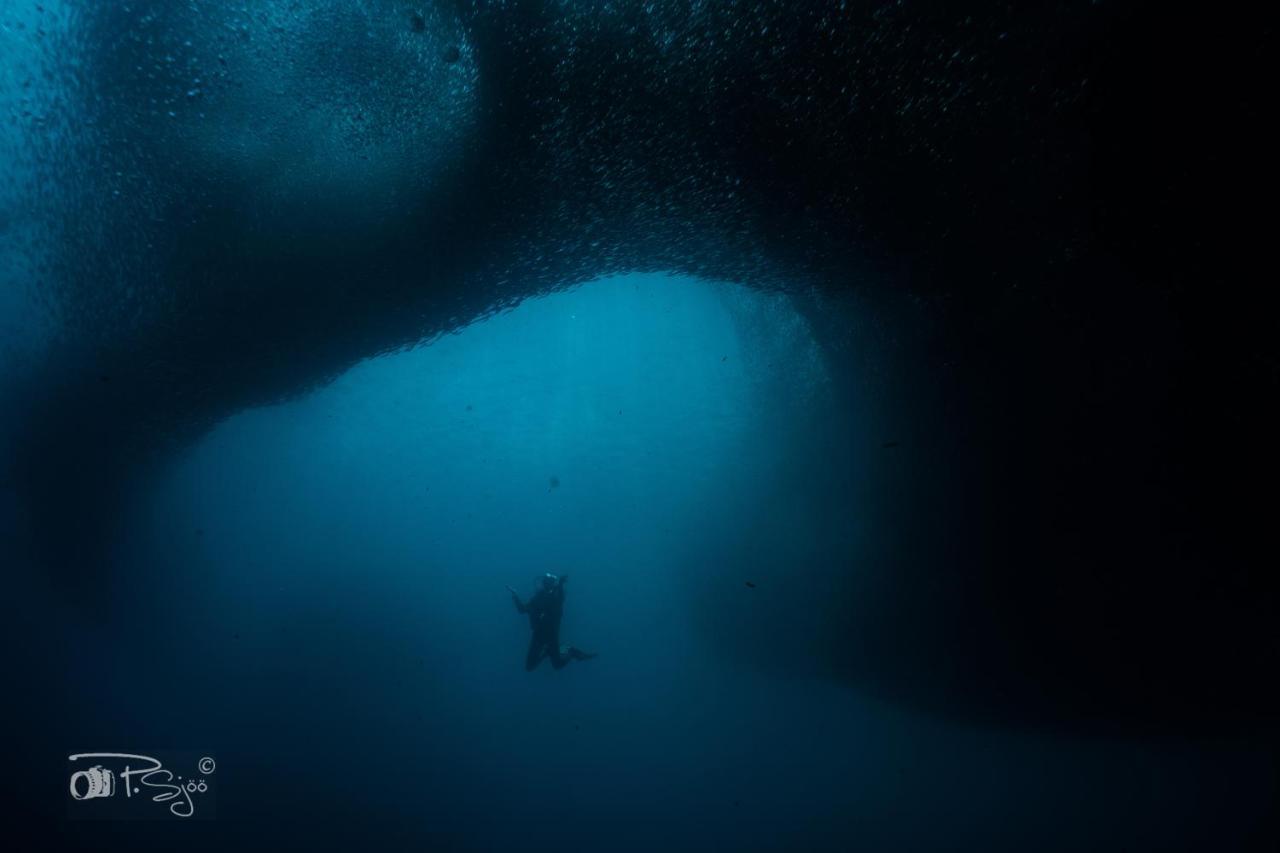 Divers Lodge Moalboal Dış mekan fotoğraf